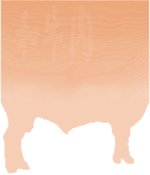 Bottom