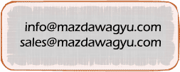 General Enquiries Email: info@mazdawagyu.comSales & Produce Information Email: sales@mazdawagyu.com