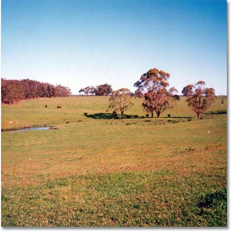 The Marlo Property